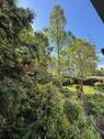 Ausblick - 