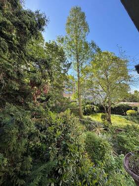Ausblick - 