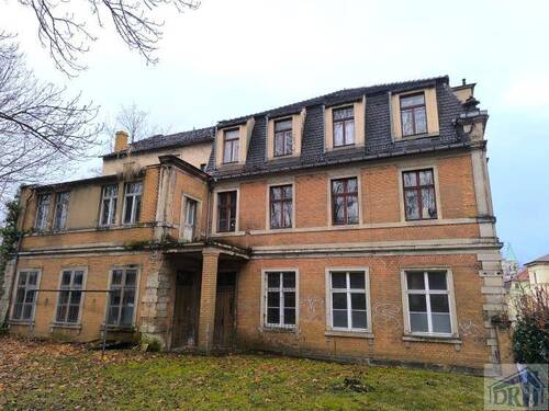 Ansicht (3) - Mehrfamilienhaus, Wohnhaus zum Kaufen in Zittau