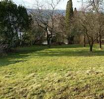 Obereisenhausen: Sonniges Baugrundstück - Steffenberg / Obereisenhausen