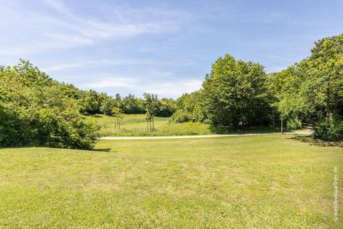 Der angrenzende Zamilapark - 