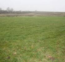 Resthof in Alleinlage mit zwei Wohnungen auf 44.000 m² Grundstück bei Hademarschen - Hanerau-Hademarschen