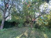 Garten mit leckeren Obstbäumen - 