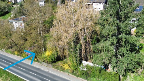 Grundstück - Grundstück in Neustadt zum Kaufen