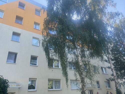 Objektansicht - 3 Zimmer Etagenwohnung zur Miete in Halle (Saale)