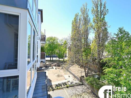 Blick Richtung Elbe - 