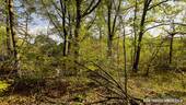 BP - Innen - 