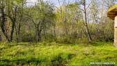 BP - Seite - 
