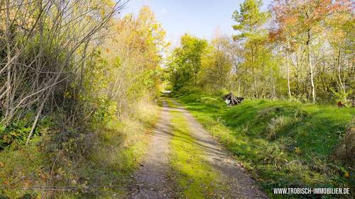 BP - Hinten - 