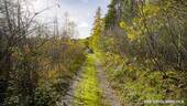 BP - Hinten - 