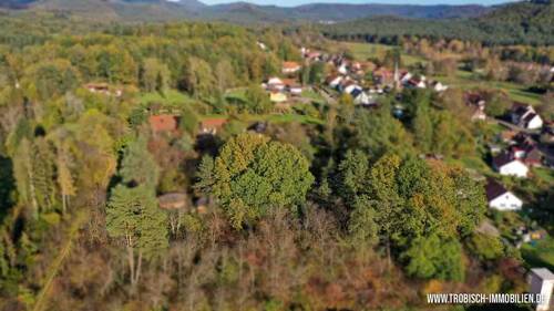 Luftbildaufnahme - 