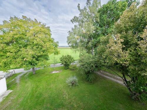Garten Teil 3 - 