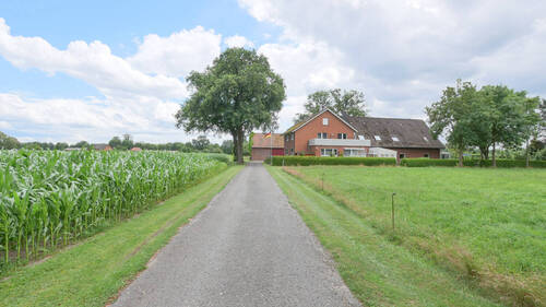 Hofeinfahrt - 