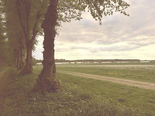 Wardersee Dämmerung - 