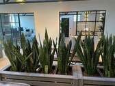 Sonstiges - Büro in Düsseldorf zur Miete