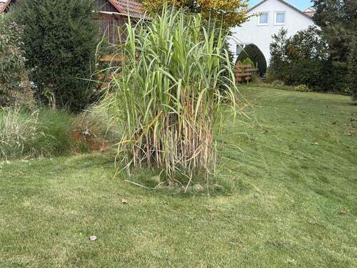 Bild 4 - Grundstück in Uehlfeld zum Kaufen