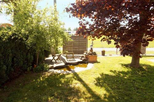 Teich - 