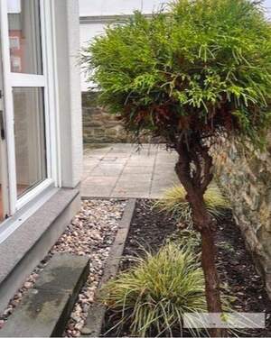 Ihr privater Gartenbereich - 3 Zimmer Etagenwohnung in Werl