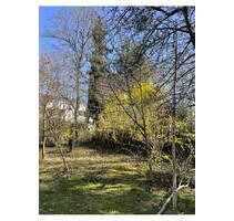 Exklusives Baugrundstück für Einfamilien- oder Doppelhausbebauung - Pullach