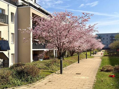Innenhof - 