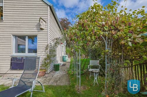 Sitzmöglichkeit bei den Weinreben - 