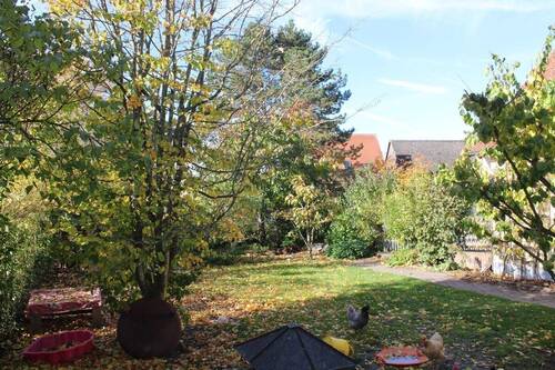 ... mit Zuwegung - Einfamilienhaus mit 172,00 m&sup2; in Thalmässing zum Kaufen