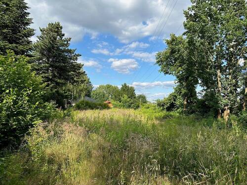 02 Blick Nord-Ost - Grundstück zum Kaufen in Blankenfelde-Mahlow
