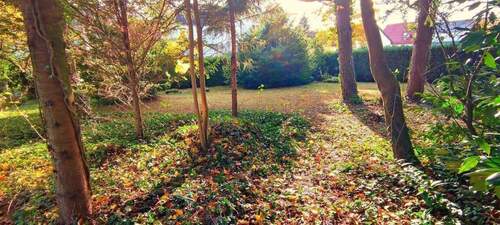 1762172079793.jpg - TOP LAGE IM BESTANDSWOHNGEBIET TRAUMHAFTEN GARTEN MIT SÜDAUSRICHTUNG IN SCHESSLITZ