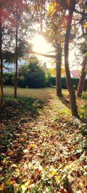 1762172079808.jpg - 4 Zimmer Einfamilienhaus in Scheßlitz