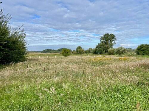 Bild... - Grundstück zum Kaufen in Rechlin