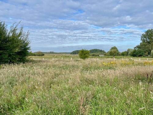 Bild... - Grundstück in Rechlin