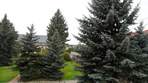 Ausblick - 2 Zimmer Etagenwohnung zur Miete in Erlau