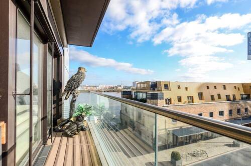 Blick vom Balkon - 