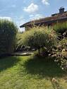 Blick in den Garten - 
