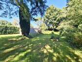 Blick in den Garten Bild 2 - 