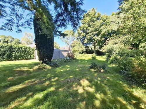 Blick in den Garten Bild 2 - 