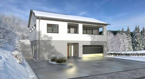 Ansicht Eingang - DESIGNHAUS FÜR DIE BESONDERE LAGE - auch in Frankreich