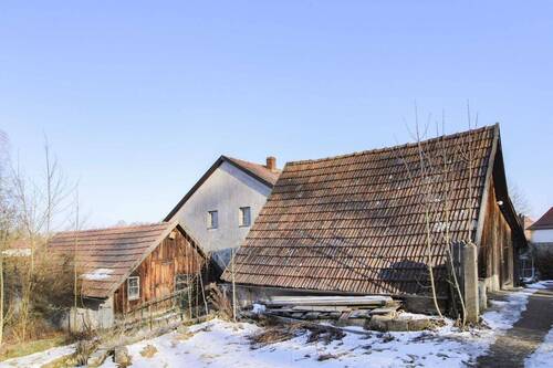 Hinteransicht - 