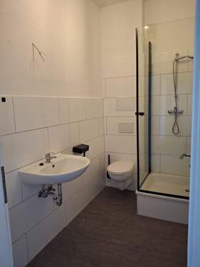 Goethe 53 3 OG (18).jpeg - 