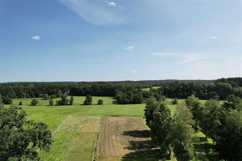 Weide - 