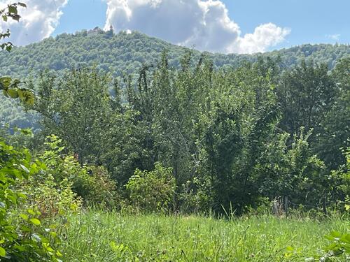 Teck zum Greifen nah.jpg - Wunderschöner Bauplatz in naturnaher, sonniger und ruhiger Lage von Bissingen -Tec