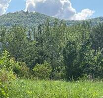 Wunderschöner Bauplatz in naturnaher, sonniger und ruhiger Lage von Bissingen -Tec - Bissingen an der Teck