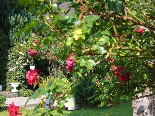 Garten Bild 3.jpg - Renovierungsbedürftige Zweifamilienhaus 172 m² Wohnfläche mit ca. 632 m² Grundstück in Bruckmühl