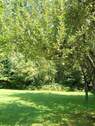 Garten Bild 2.jpg - 