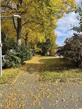 Umgebung - 
