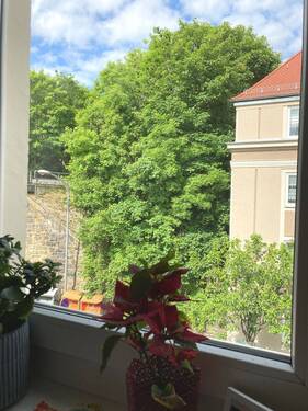 Blick nach vorne - 1 Zimmer Mehrfamilienhaus, Wohnhaus zum Kaufen in Jena