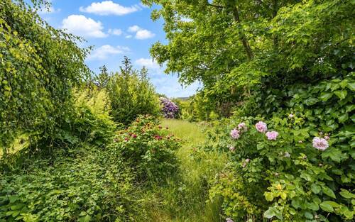 Garten - 