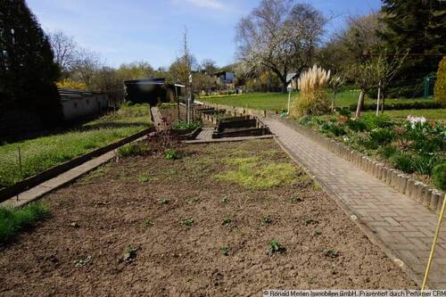 Garten Bild 2 - 