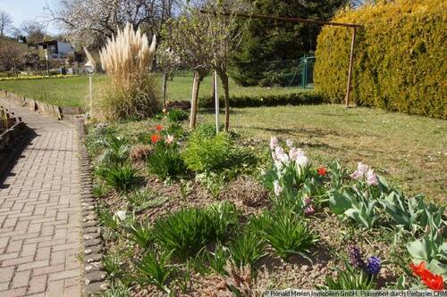 Garten - 3 Zimmer Einfamilienhaus zum Kaufen in Erfurt