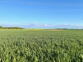 Umgebung - 